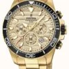 Festina Men's Gold Stainless Steel Chronograph Gold Dial -Festinest Zone product49590 0 9791 cropped.jpg.thumb FFFCFA 660x1000