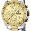Festina Men's Chronograph | Gold Dial | Two Tone Bracelet -Festinest Zone product75665 7171 cropped.jpg.thumb FFFCFA 651x1000